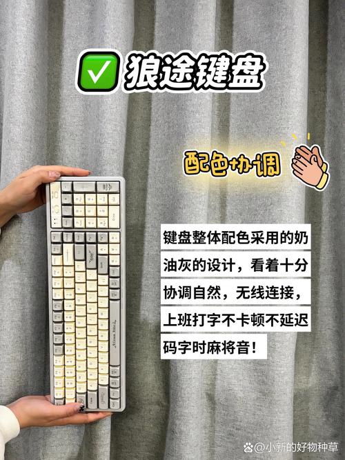 伊洛纳键盘侠实力解析:属性特点全面展示,键盘侠属性一览表揭示真相